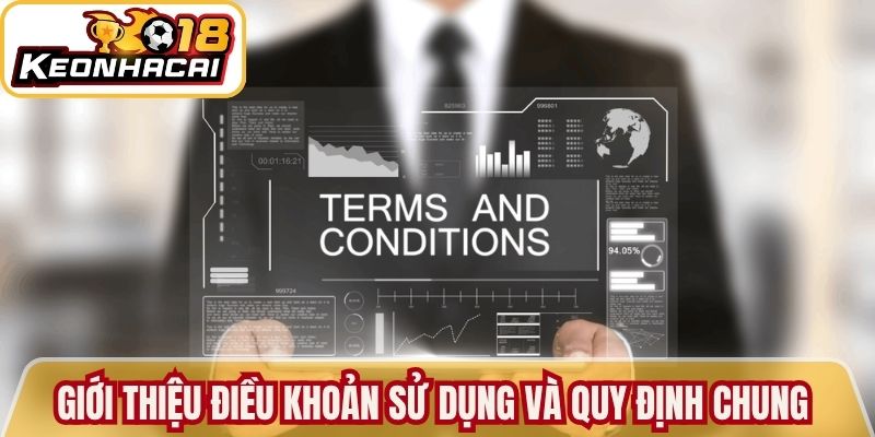 Giới thiệu điều khoản sử dụng và quy định chung 