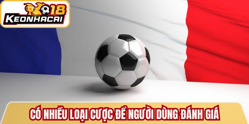 Có nhiều loại cược để người dùng đánh giá
