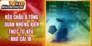 Kèo Châu Á Tổng Quan Những Kiến Thức Từ Kèo Nhà Cái 18