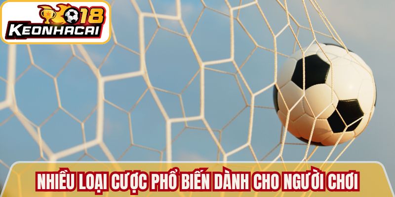 Nhiều loại cược phổ biến dành cho người chơi