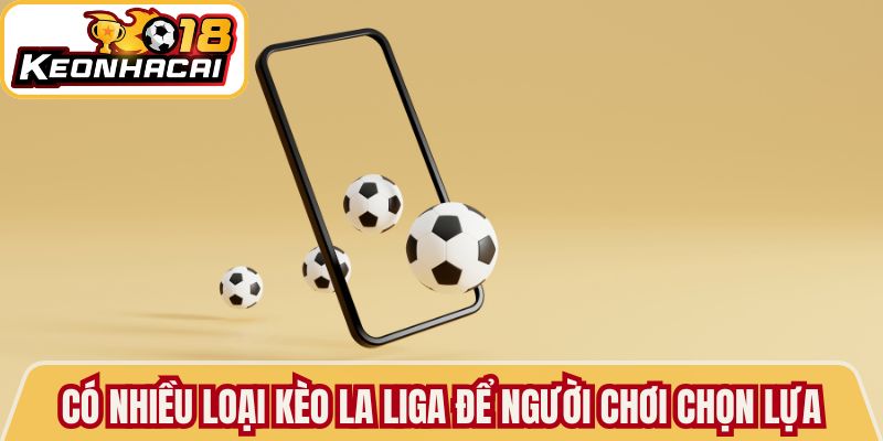 Có nhiều loại Kèo La Liga để người chơi chọn lựa