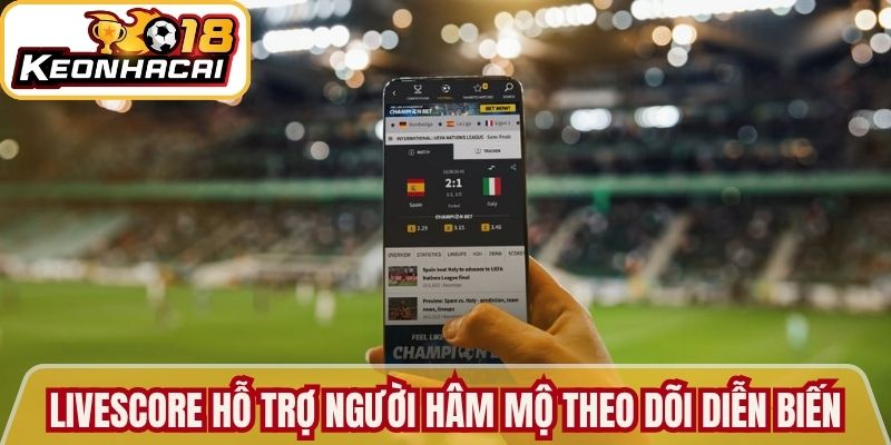 Livescore hỗ trợ người hâm mộ theo dõi diễn biến sân cỏ 