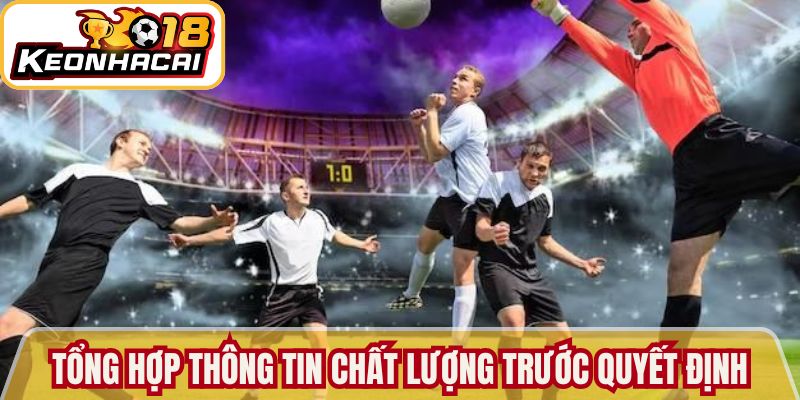 Tổng hợp thông tin chất lượng trước mọi quyết định 