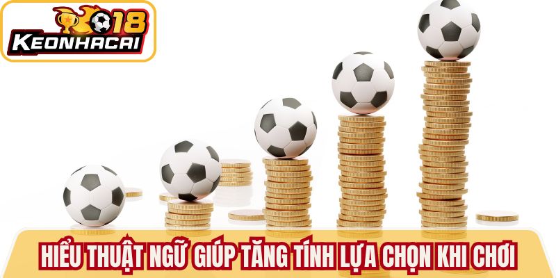 Hiểu thuật ngữ giúp tăng tính lựa chọn khi chơi