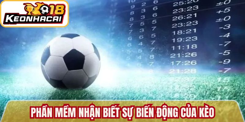Phần mềm nhận biết sự biến động của kèo